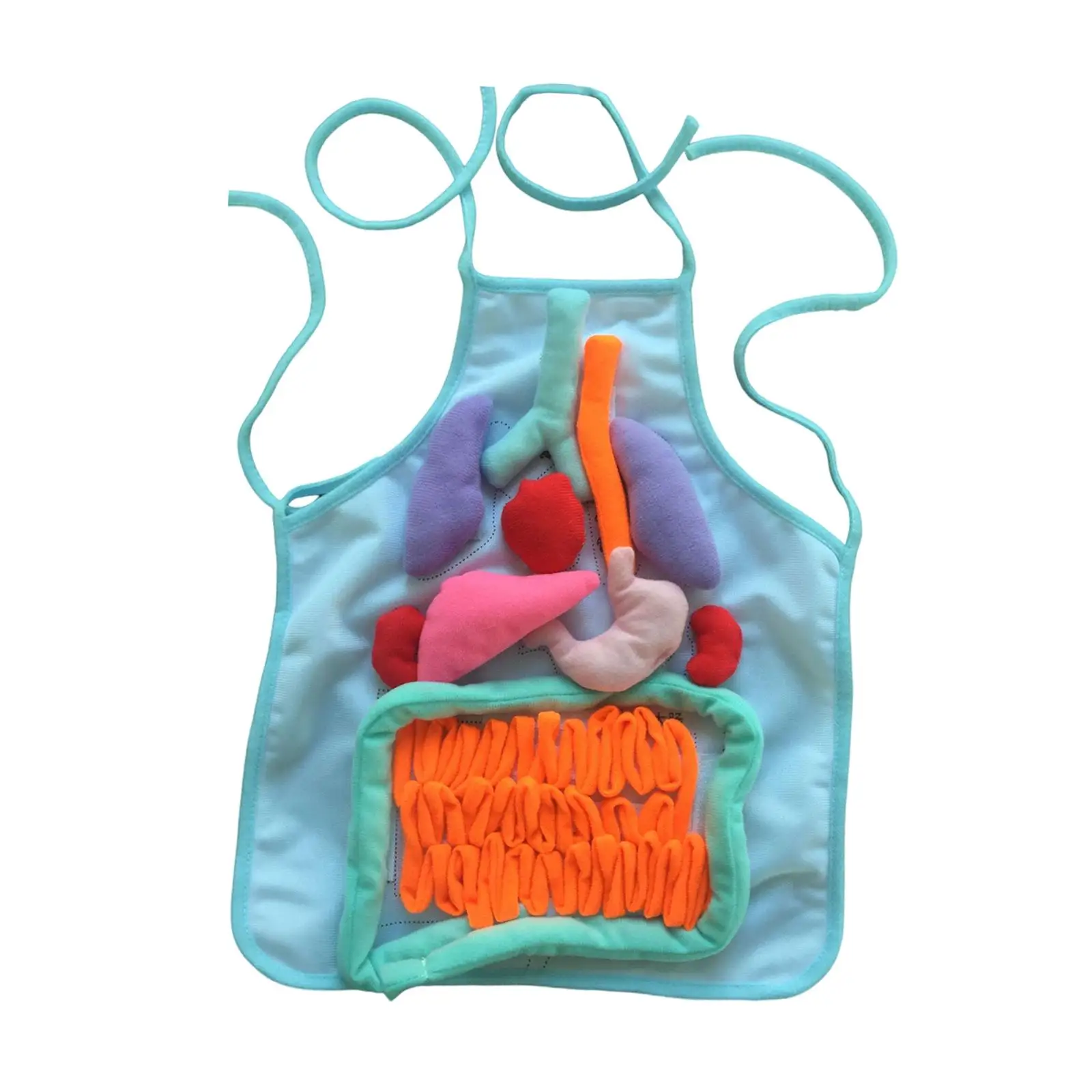 3D Human Organs Apron Plush Educational Toy for Kids Body Awareness Learning Homeschool Teaching Aid