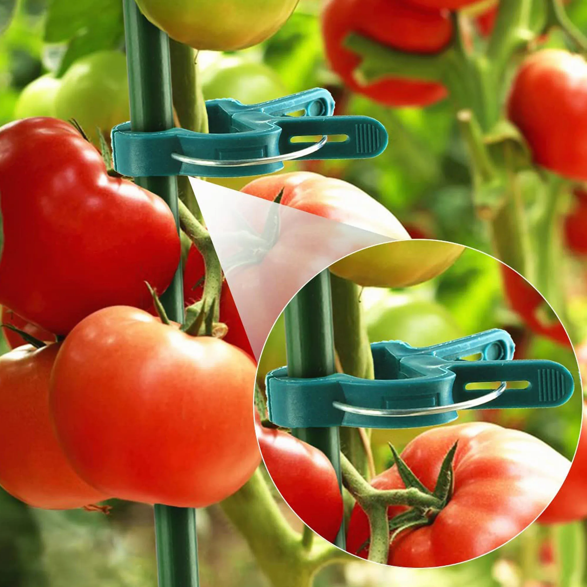 10Pcs Plant Support Clamps Multifunctional Garden Clips for Tomatoes, Orchids & Vines Reusable Strong Grip for Stems Trellises