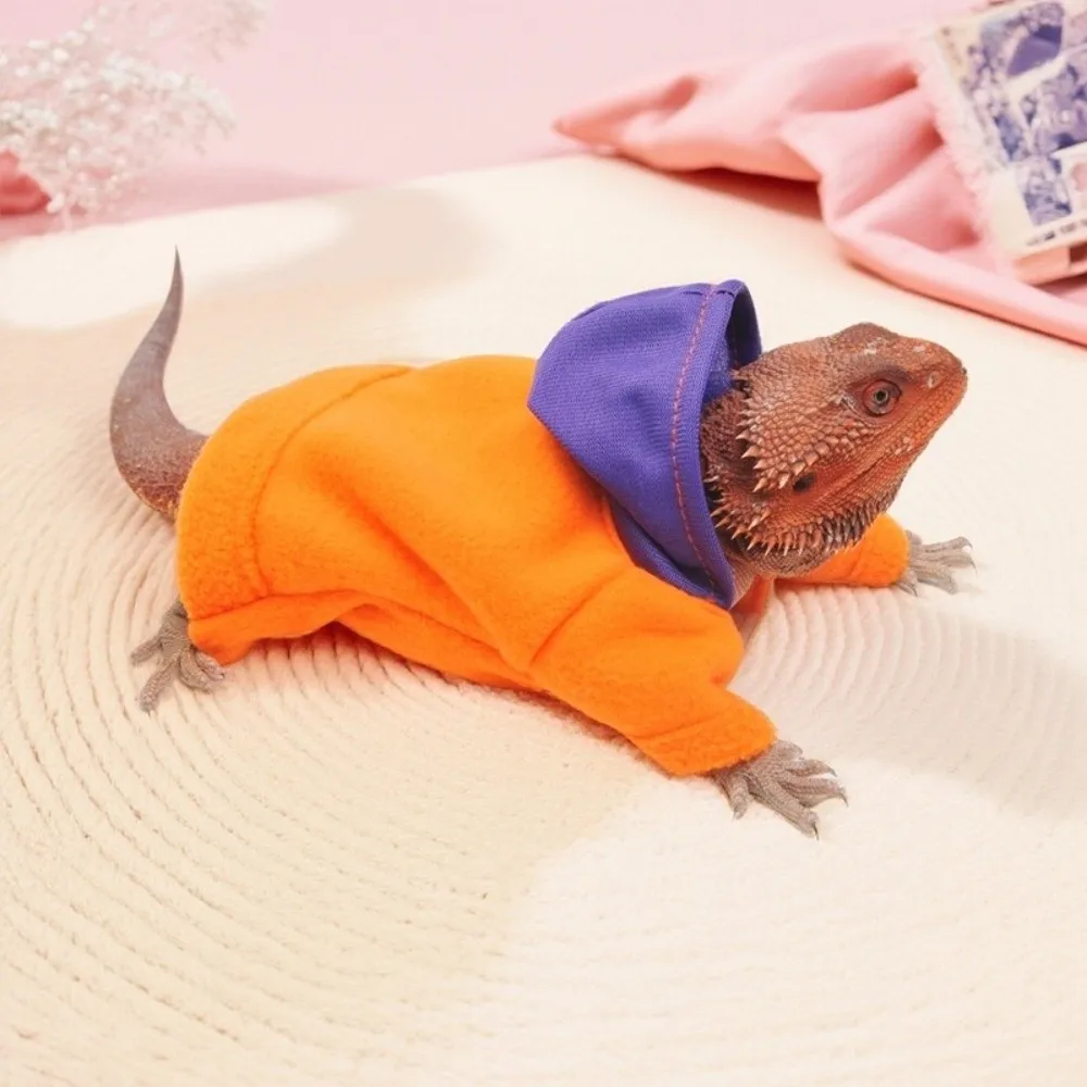 Fashion Warm Lizards Hoodie Color Blocking Windproof Bearded Dragon Hooded Coat Soft Reptiles Apparel Pet Show