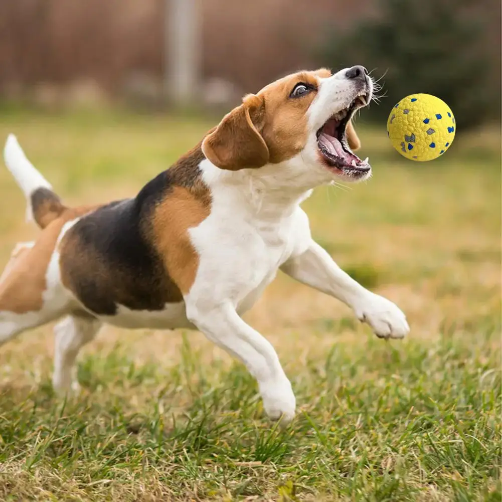 Pet Toy Ball Launcher Durable Dog Tennis Ball for Chewers Fetch Toy for Outdoor Fun Water Toy for Medium Small Dogs Bite-proof