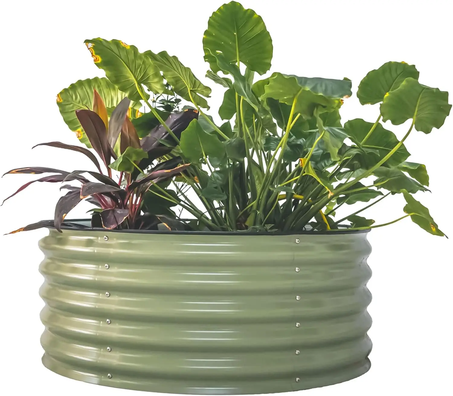 Patio Garden, Metal Round Planter Box in Olive Green, 17\