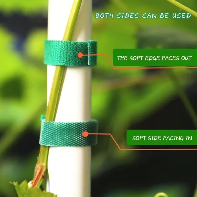 10mm Width Nylon Plant Bandage Tie Reusable Plant Hook Loop Ties Green Fastener Tape Bamboo Cane Wrap Support Garden Accessory