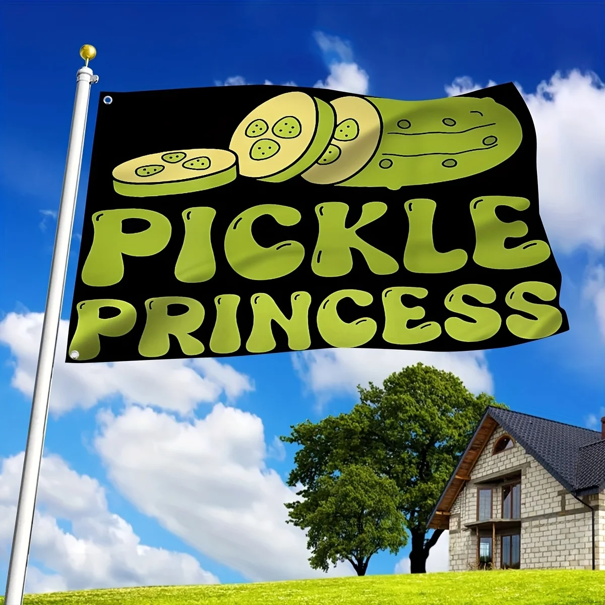 Pickle Princess Groovy Graphic Flag Outdoor Durable Polyester Decoration 3x5 Ft