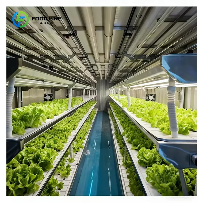 Customized 40ft Microgreens Container Farm Factory Manufacturer Vertical Farming Hydroponics Growing System for Lettuce Plants