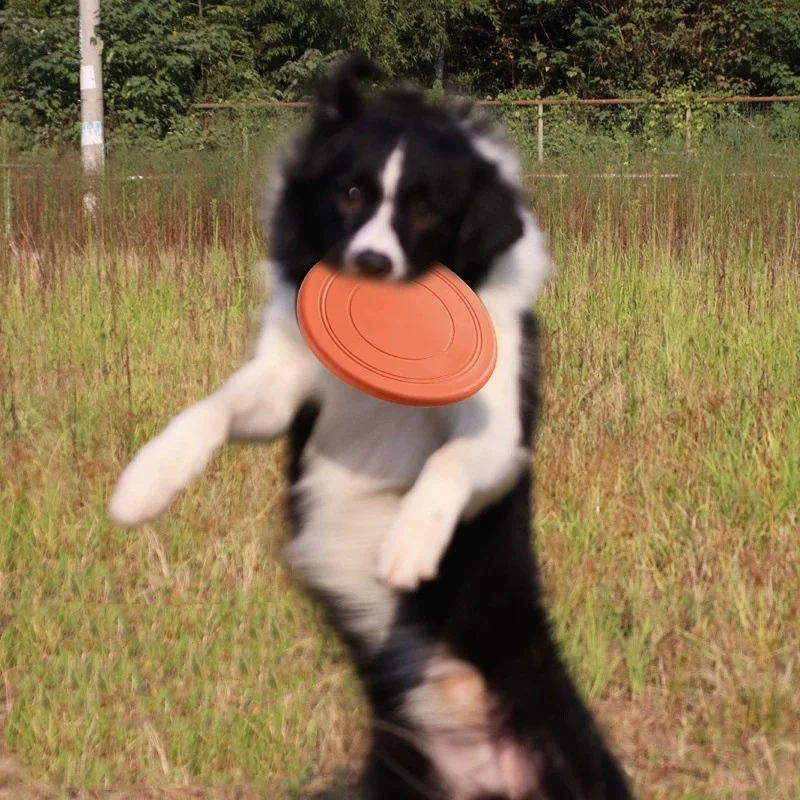 Silikon-Flugscheibe Lustiges Hunde- und Katzenspielzeug Hundespiel Fliegende Scheiben Bissresistent Welpentraining Interaktives Haustierzubehör