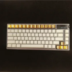 Cherry Profile Metal Keycaps ESC Direction WASD No Backlit Gold Black Silver Keycap For Cross Switch Mechanical Keyboard Caps