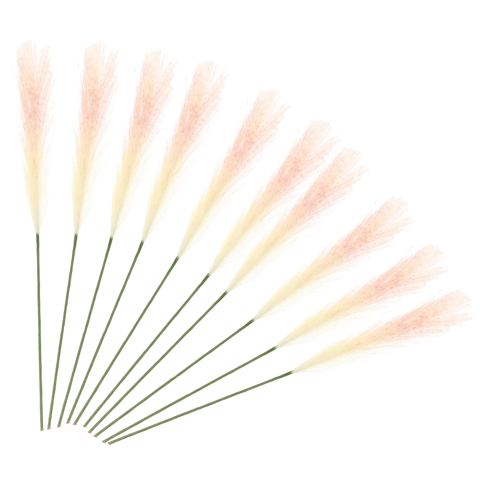 

10pcs Creative Dried Flowers Bunch Lifelike Wedding Reed Decor Home Office Decoration Dried Reed Plumes Floral Arrangement