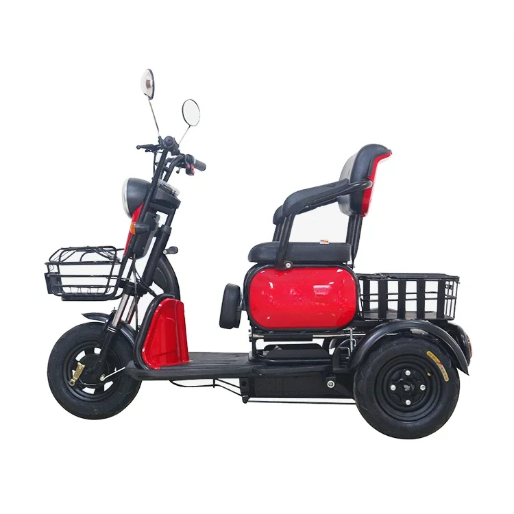 Tailg Factory Hot Sale Scooter Dreirad Elektro fracht Dreirad