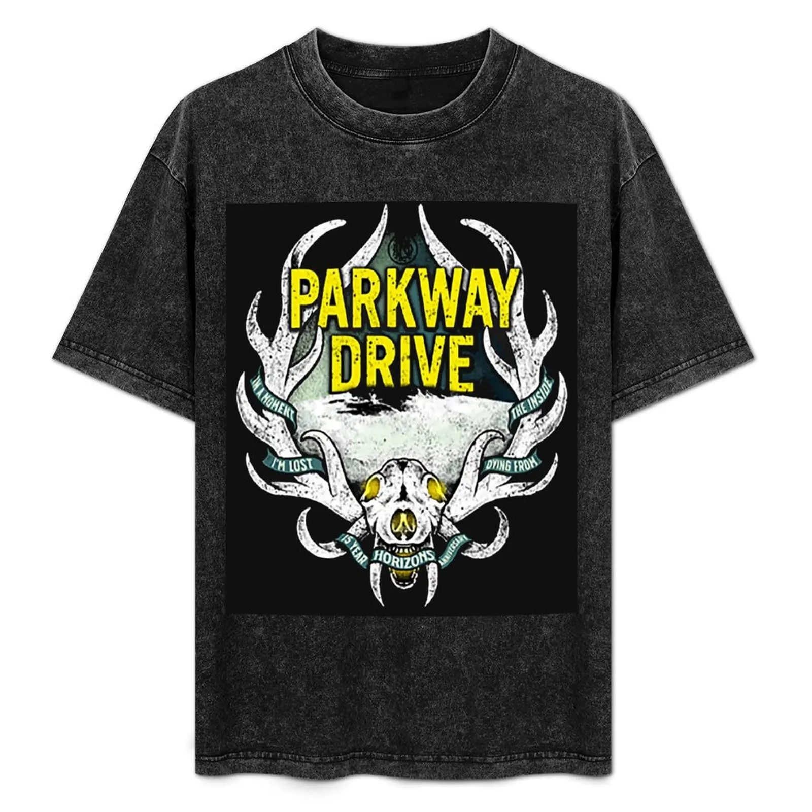 

parkway drive T-Shirt anime clothes graphic tee shirt compression shirt men