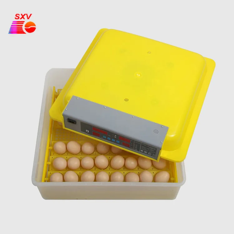 

CE Household Automatic Incubator and Hatcher 36/48 Eggs Incubator