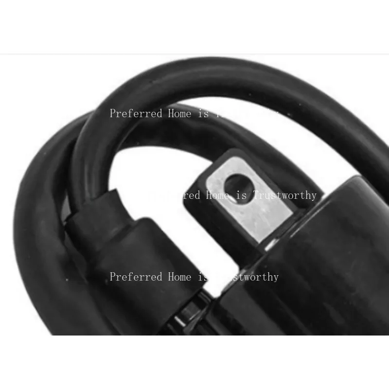 

Подходит для катушки зажигания 33410-02F00, высоковольтный модуль Tl1000R 1997-2003 гг.