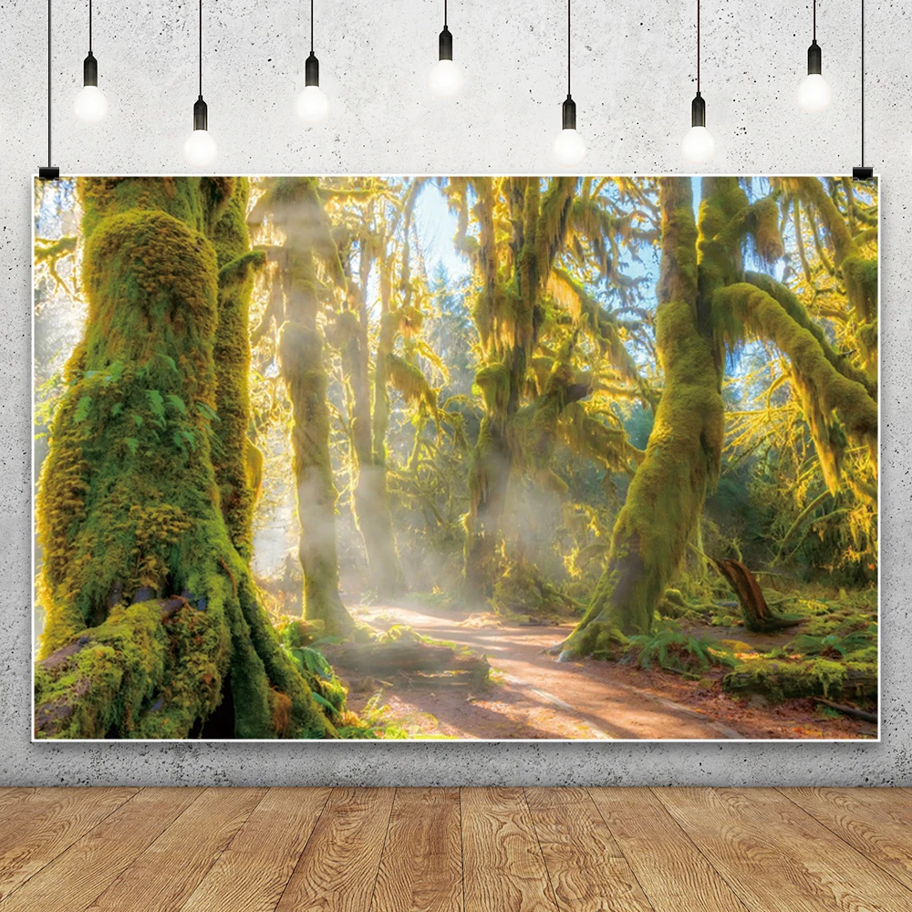 الغابة الغابات خلفيات للتصوير الفوتوغرافي الغابات المطيرة الاستوائية المناظر الطبيعية التخييم تحت عنوان استحمام الطفل الاطفال الكبار خلفية الزفاف