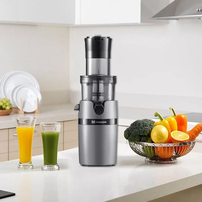 

200W Slow Juicer 600ML Cold Press Juicer Machine, BPA-Free Fruit Vegetable Extractor Quiet Motor for Home Use