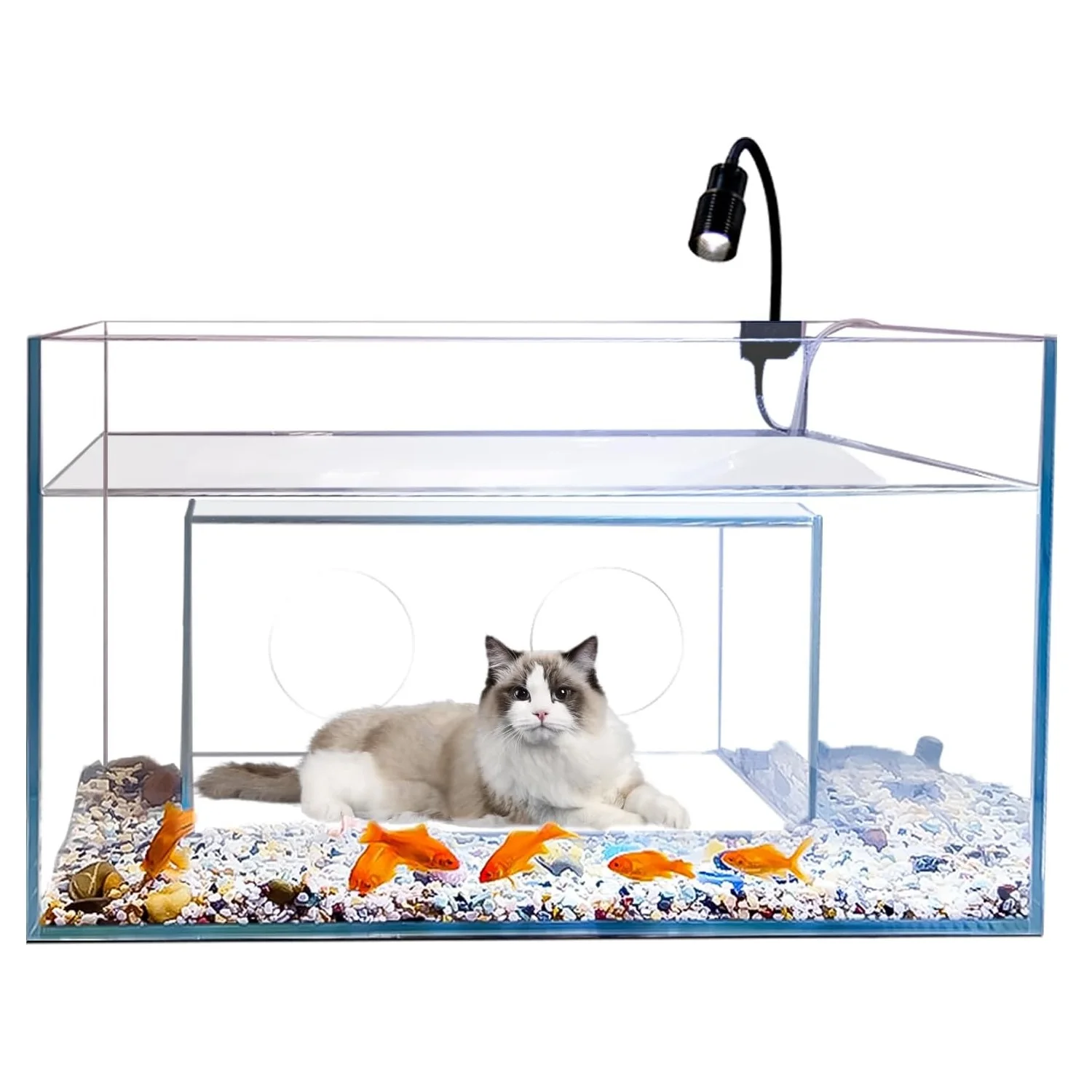 حوض السمك للقطط غرفة نوم غلوب وجبة خفيفة حوض السمك والاكسسوارات داخلي استوائي كامل رخيصة منزل عقد خزان الأسماك للأطفال