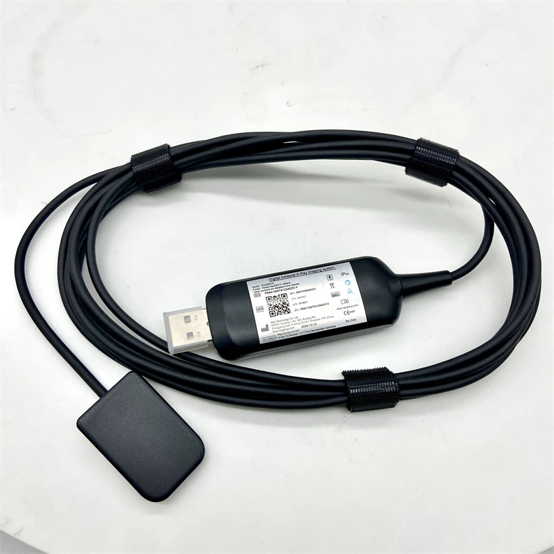 Rilevatore intraorale dentale approvato CE Sensore digitale a raggi X RVG Supporto protocollo TWAIN