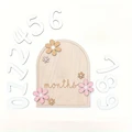 11pcs