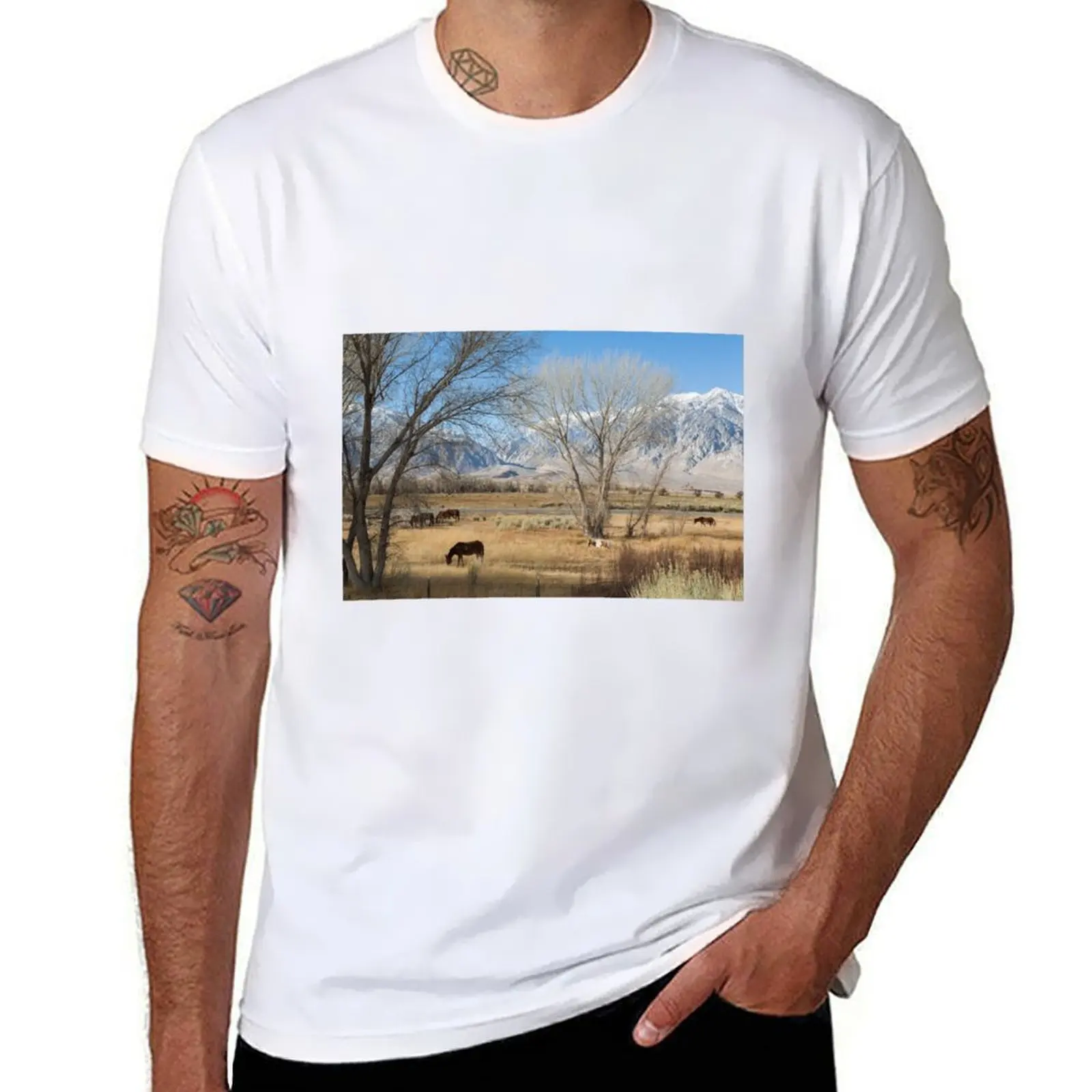 

Horses Grazing In A Meadow T-Shirt cotton t shirts high quality black cotton t-shirt plain for man package T-Shirt