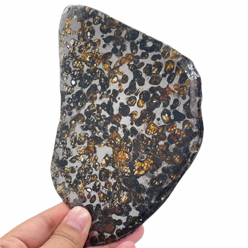 Seymchan Pallasite Meteorite Slice Natural Olivine Crystal Space Rock Collection Specimen Collection CA106