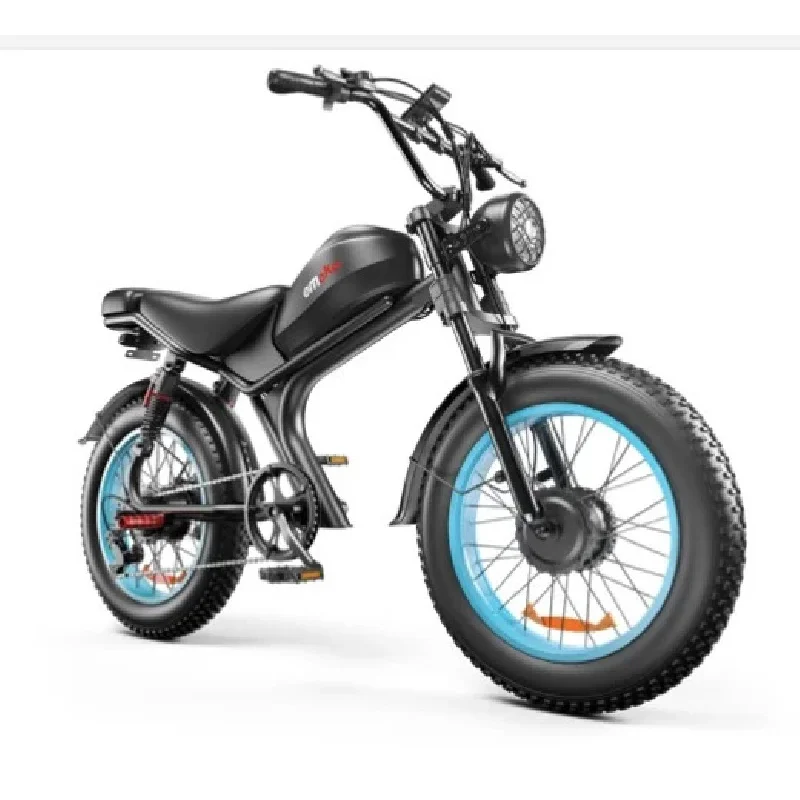 Factory Hot Selling Motors Fat Tire Bike Off Road Electric Bike Bicycle 1000*2 E-Bike Eu USA 1000w Steel Customized Logo OEM 48V