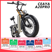 CEAYA A20Pro Electric Bicycle 500W Motor 20“ Fat Tire E-bike 48V/20Ah Battery Hydraulic Brake Electric Mountain Bike
