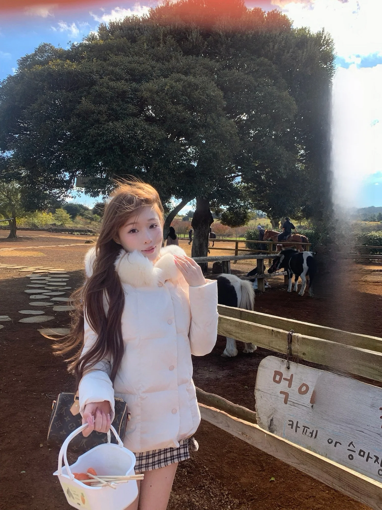 

Lukira Genuine Fur Collar Cotton Jacket Women's Winter Hooded Top Ladylike Straight Cut Thickened Polyester Fill