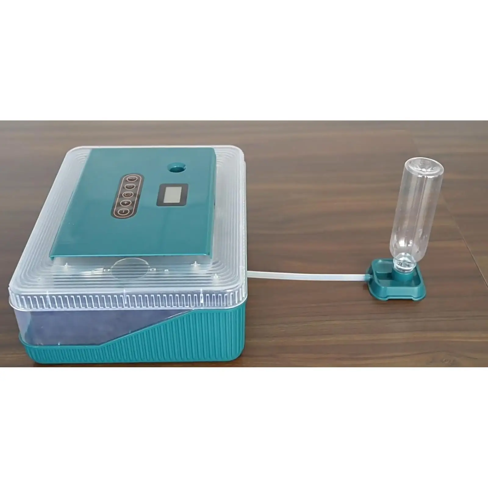 

Egg Incubator Egg Hatcher Easy Observing Household Adjustable Tray Incubation Day Counter Temperature Control Fully Automatic