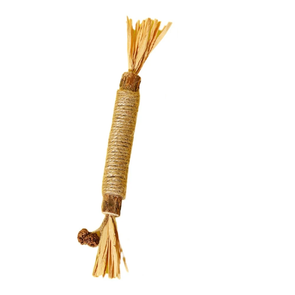 yZ[z21CMybgLpނAeB[U[Ag[jOgCALp܂ƂÃPAAN[jOAAVRؐc[pi