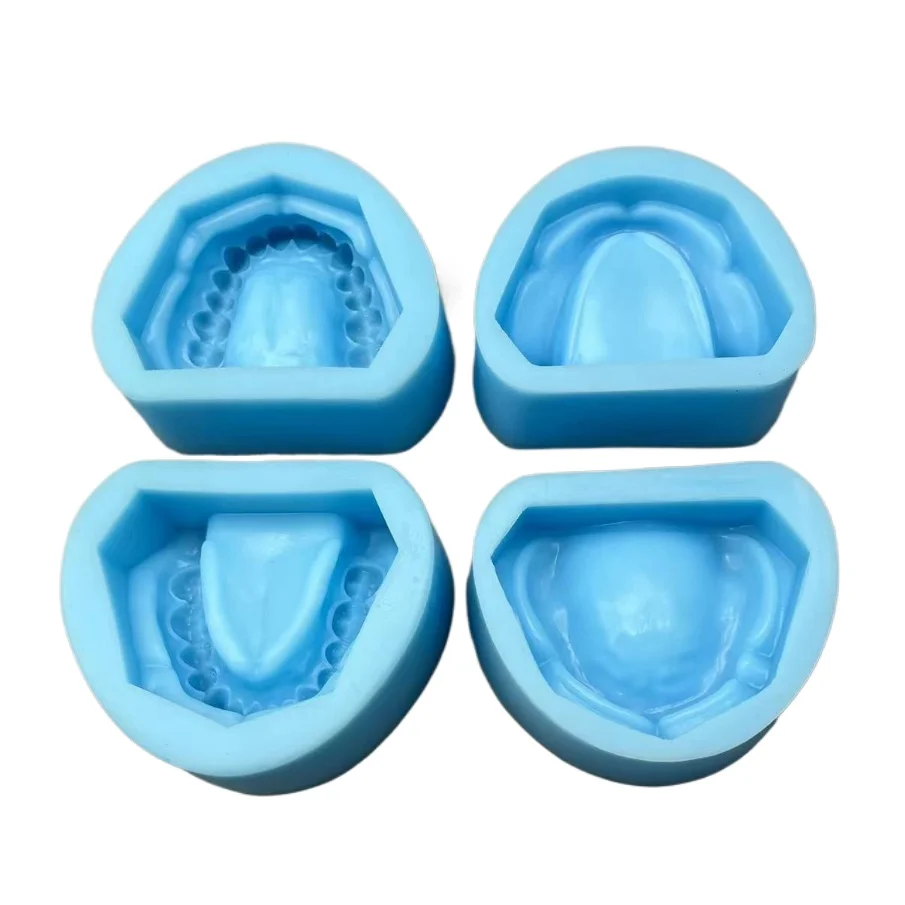 Modèle dentaire standard en silicone pour laboratoire, moule féminin pour l'étude des dents, fabrication de modèles en plâtre pour l'enseignement