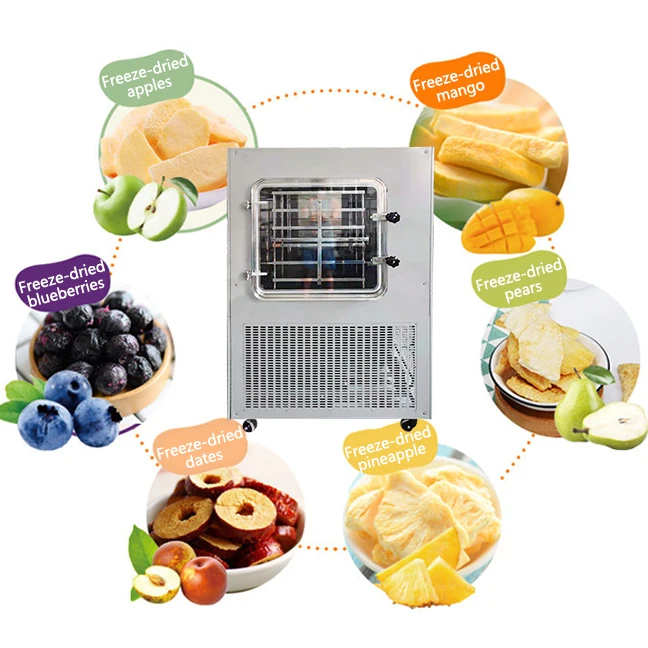 식품 건조기 상업용 과일 및 채소 사과 바나나 칩 탈수기