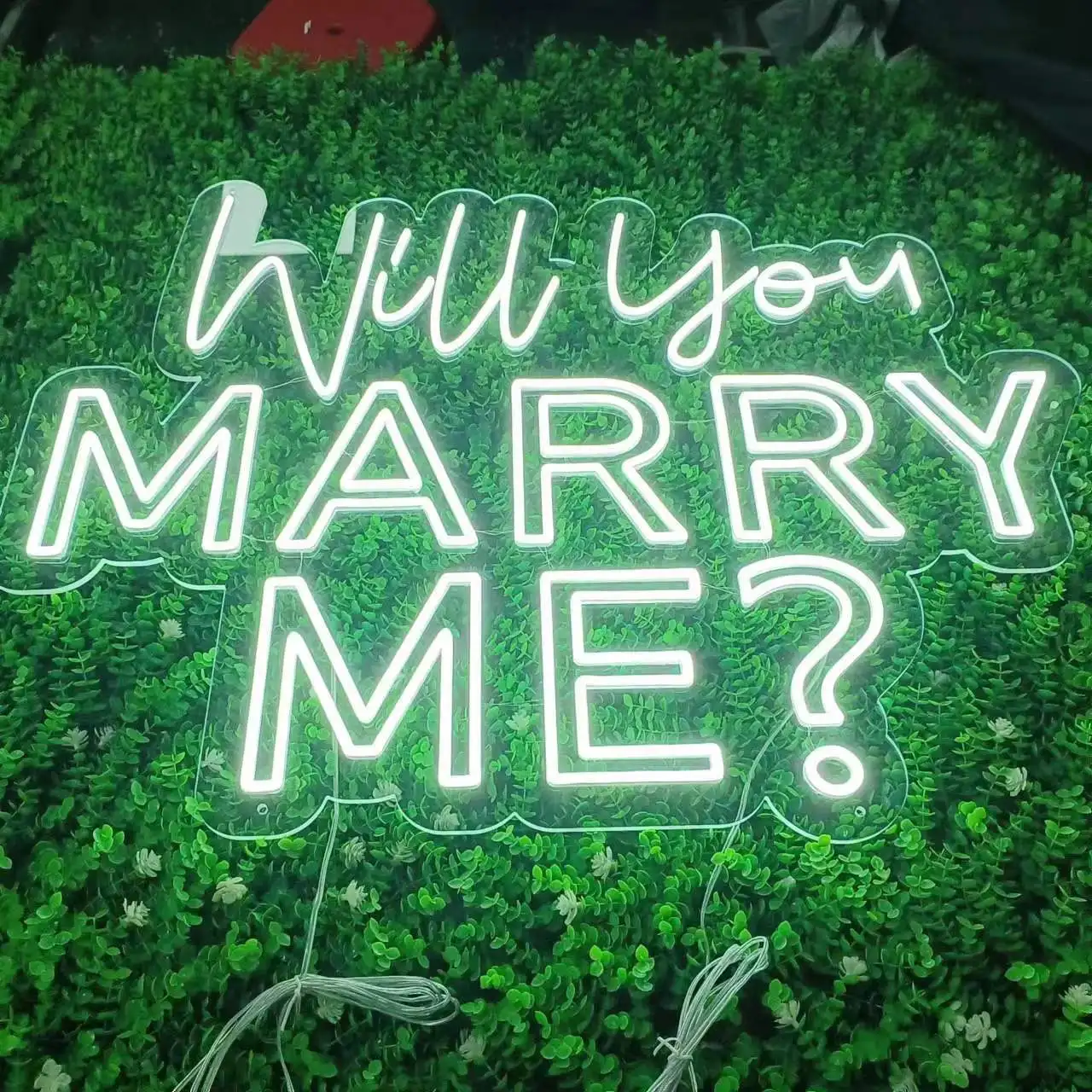 Will You Marry Me? Neon Sign led Neon Sign Art, Proposal Decor,Proposal Sign Wedding Party Room Wall Hanging Home Decor, Persona