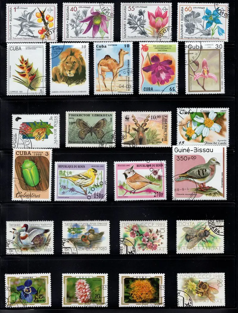 Lot 200pcs Animals and plants Topic Original Stamps with Postage Mark No Repeat Nation Stamp Good Condition