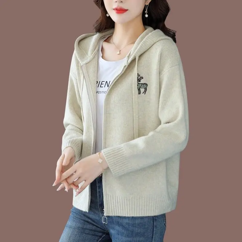 Hooded Sweater Jacket Women's Autumn Outfit New Style Spring Autumn Zipper Loose and Exquisite Knitted Cardigan