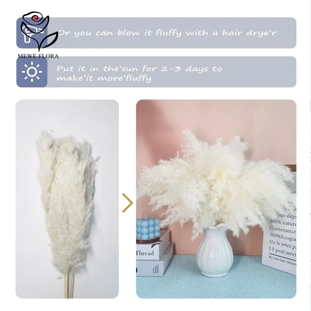 Natural Dried Flower Fluffy White Pampas Grass Bouquet Decoration DIY for Bohemian Home Living Rooms Wedding Bedrooms and Vases