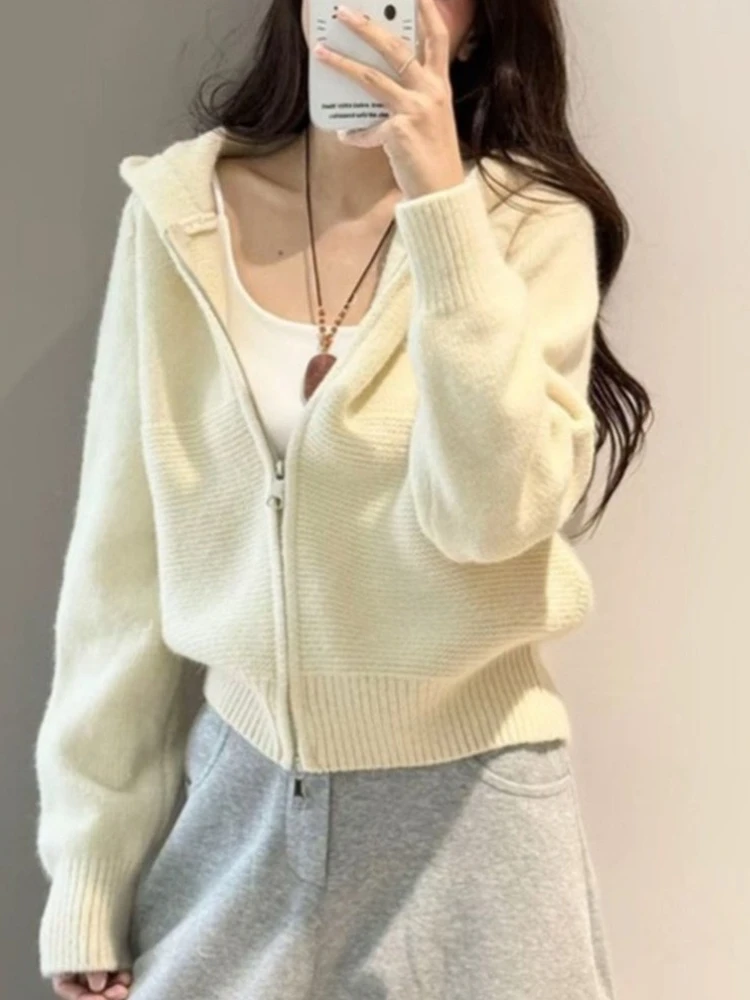 Simple Solid Women's Knit Hoodie Cardigan Autumn Winter Loose Fit Casual Sweater Coat Woman Basic Match Long Sleeve Cardigan