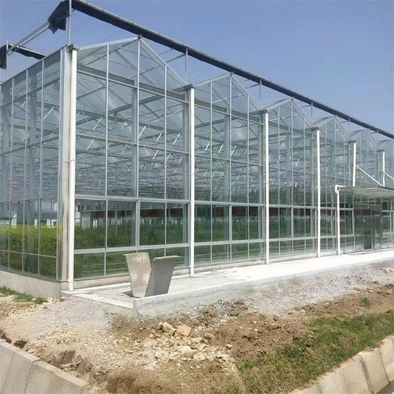 2025 유리 온실 제조업체 - 꽃 유리 온실, 온실에서의 채소 재배