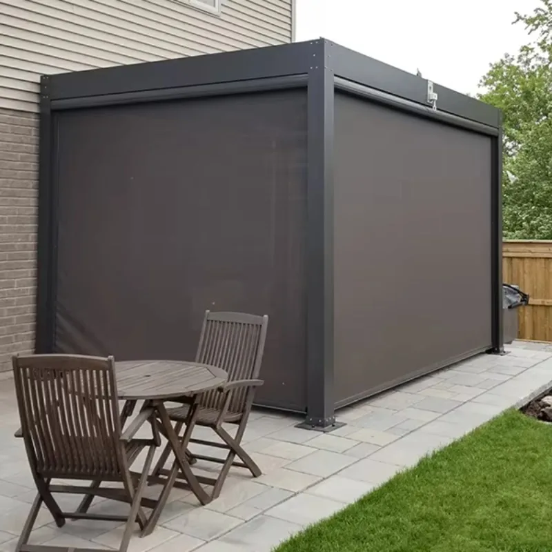 Blinds Zipper PVC Tende a Rullo in PVC Roll up Screen Outdoor Blind Motorized Wind Screen Rolling Outdoor Ziptrak Blind