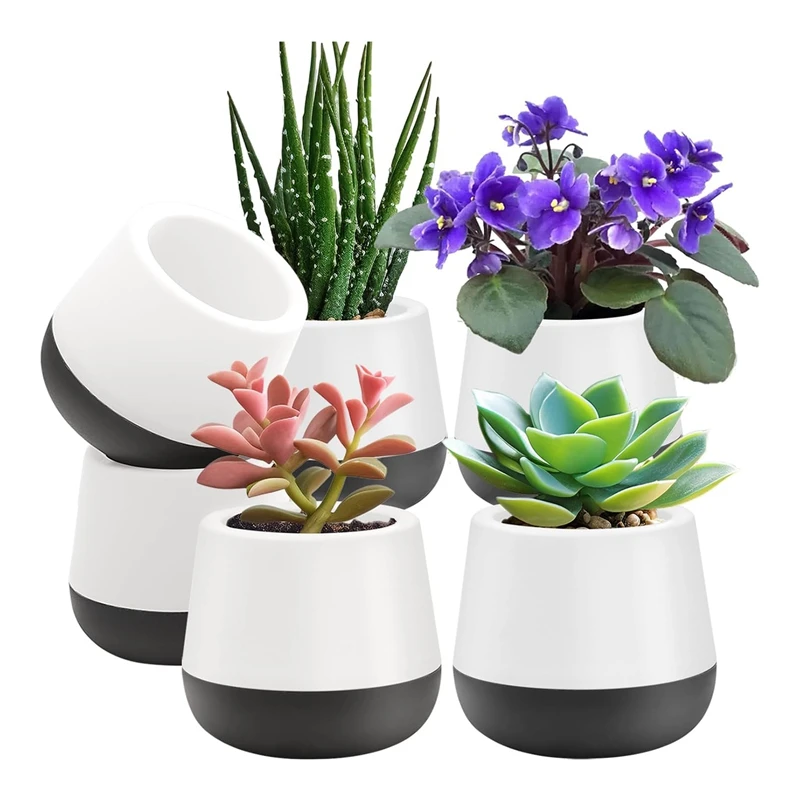 3 Inch Self Watering Plant Pot Cactus Planter Pots With Drainage  Mini Pots For All House Plants 6Pcs 6Pcs