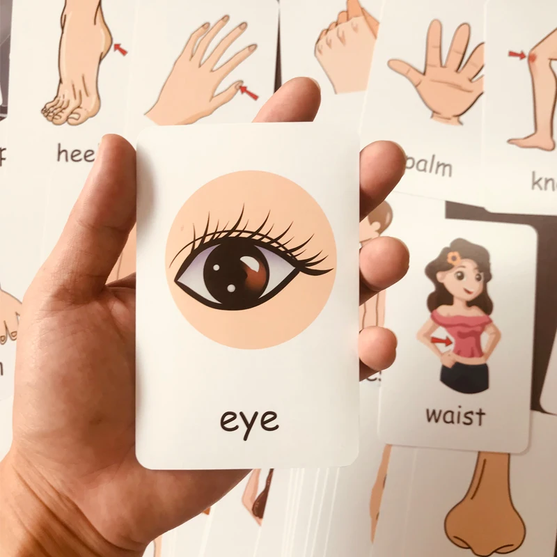 36Pcs 어린이 인식 카드 모양 동물 색상 교육 아기 영어 학습 단어 카드 교육 장난감 그림 패턴 가족 선물