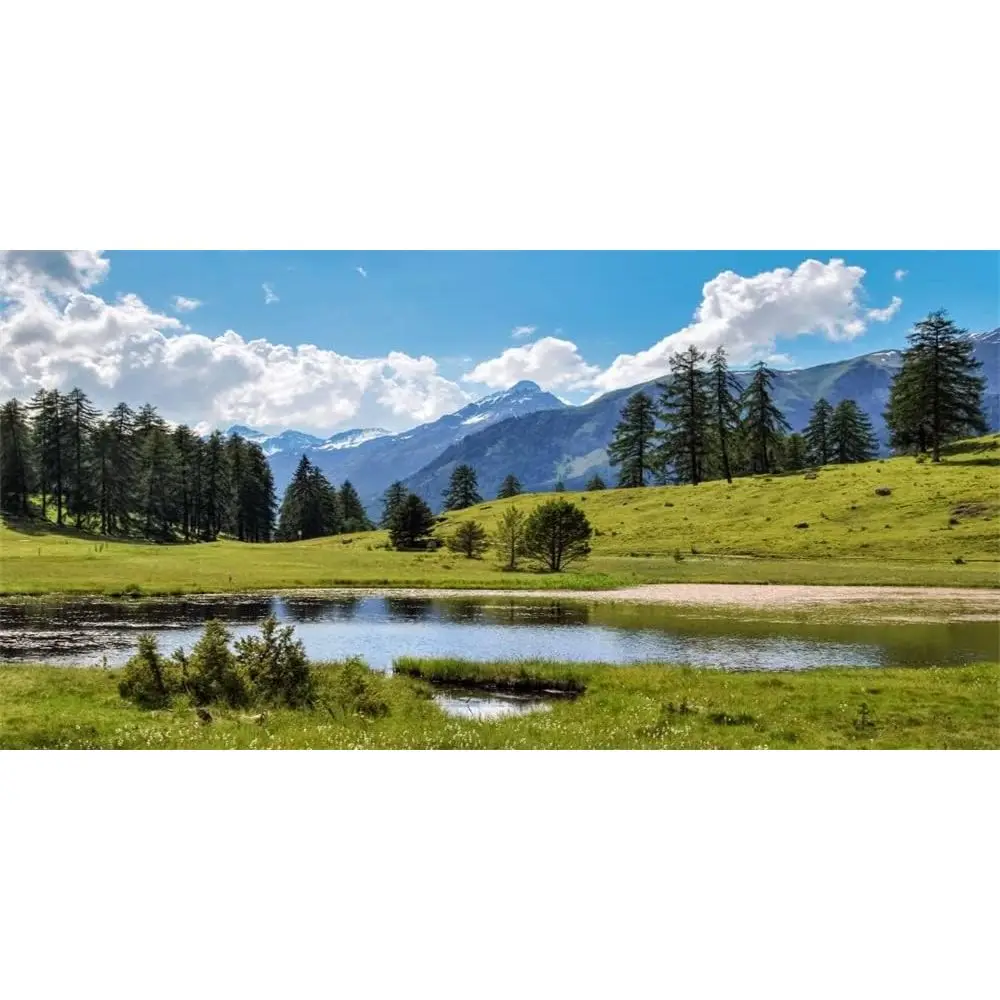 

20x10t Nature Scenic Photography Background Mountain orest River Backdrop White Clouds Outdoor Backdrop Decor Walaper eymoon Tra