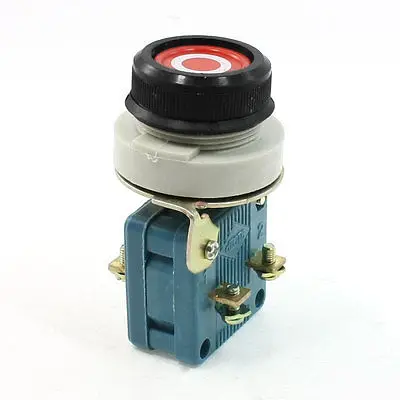 AC 380V 10A DPST 4 Screw Terminals Momentary Flat Push Button Switch