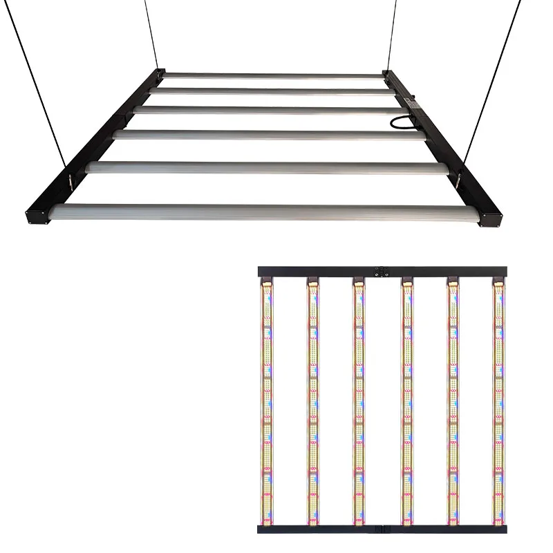 

Intelligent Library White Rose Grow Lights Full Spectrum Led 720W 4 By 4 Feet Indoor Glasshouse Horticultural Lighting