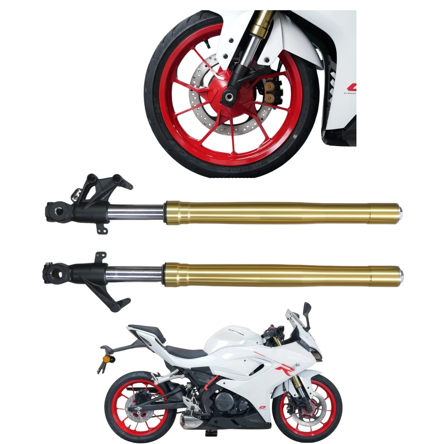 OEM Front Shock Absorber Middle and Small Displacement Sportbike High Quality Complete Front Shock Assembly QJ250MINI