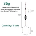 35g 2pcs