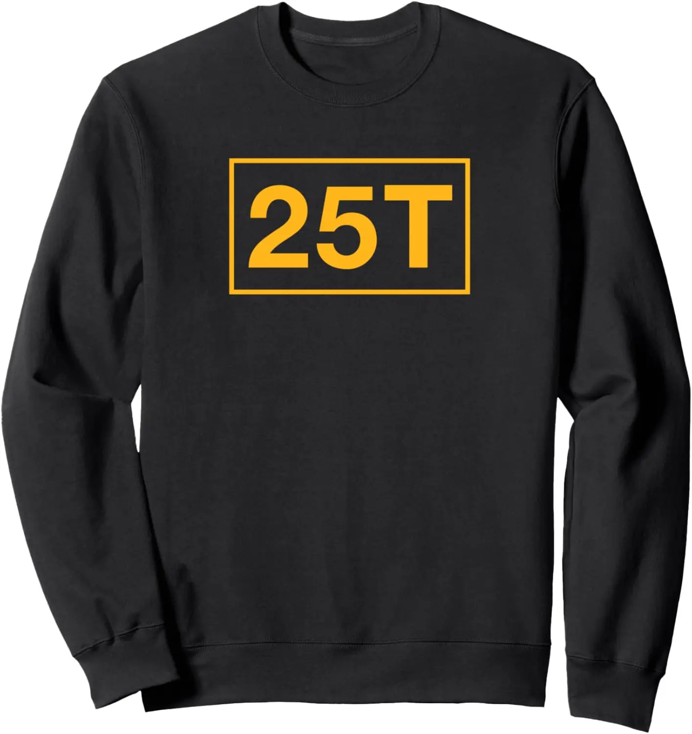 25T Satellite Microwave Systems Chief Sweatshirt