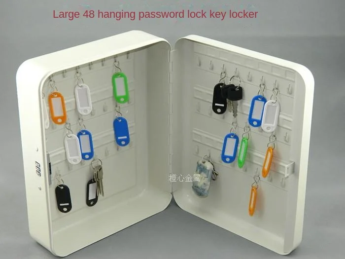 25x20x8cm Code lock medium size 24 multi hook home office wall mounted car key cabinet metal key storage box key plate