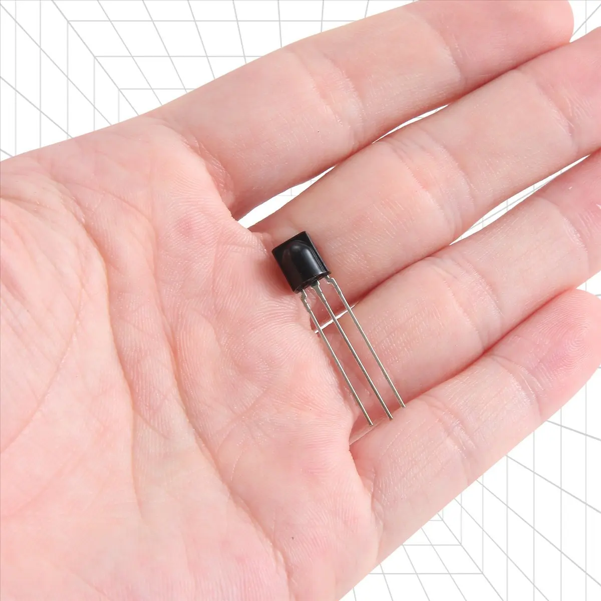 Delighted- 10 Pcs R…