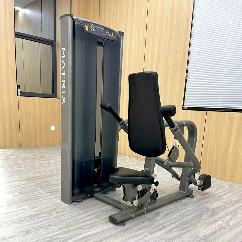 

Manufacturer Sales Triceps Press Training Machine Exercise Gym Fitness Seated Dip Triceps Press Machine
