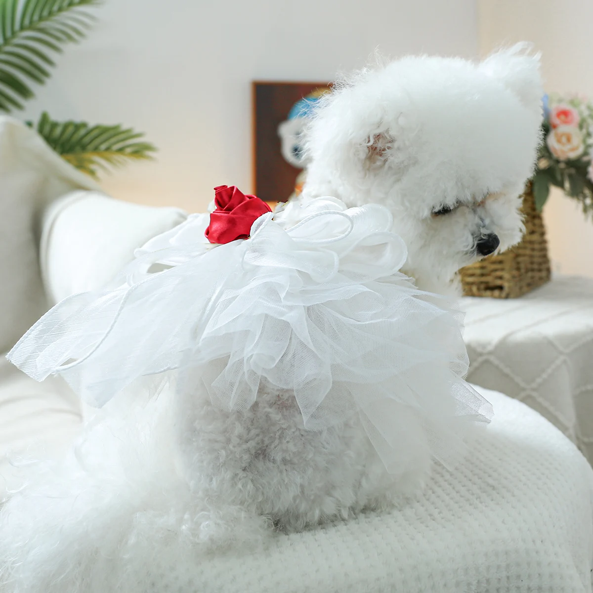 1PC Pet Clothing Spring and Autumn White Corolla Dress Wedding Dress Princess Dress Suitable for Small and Medium sized Dogs