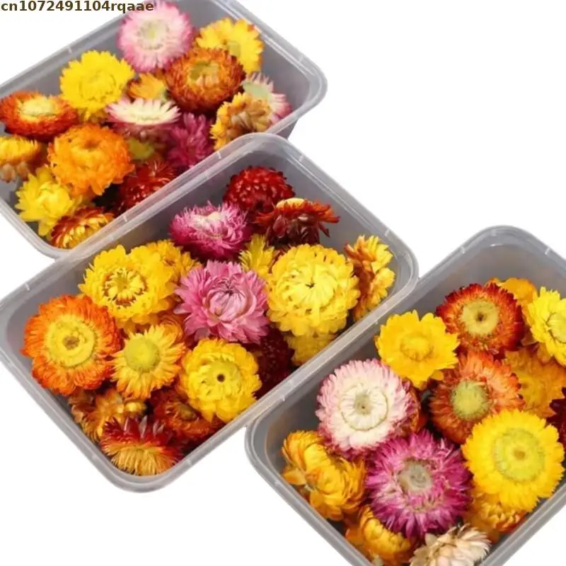 High Quality Natural Colorful Chrysanthemum Dried Flowers For Soap Candle Essence Tea Women's Perfume Materials Home Decor