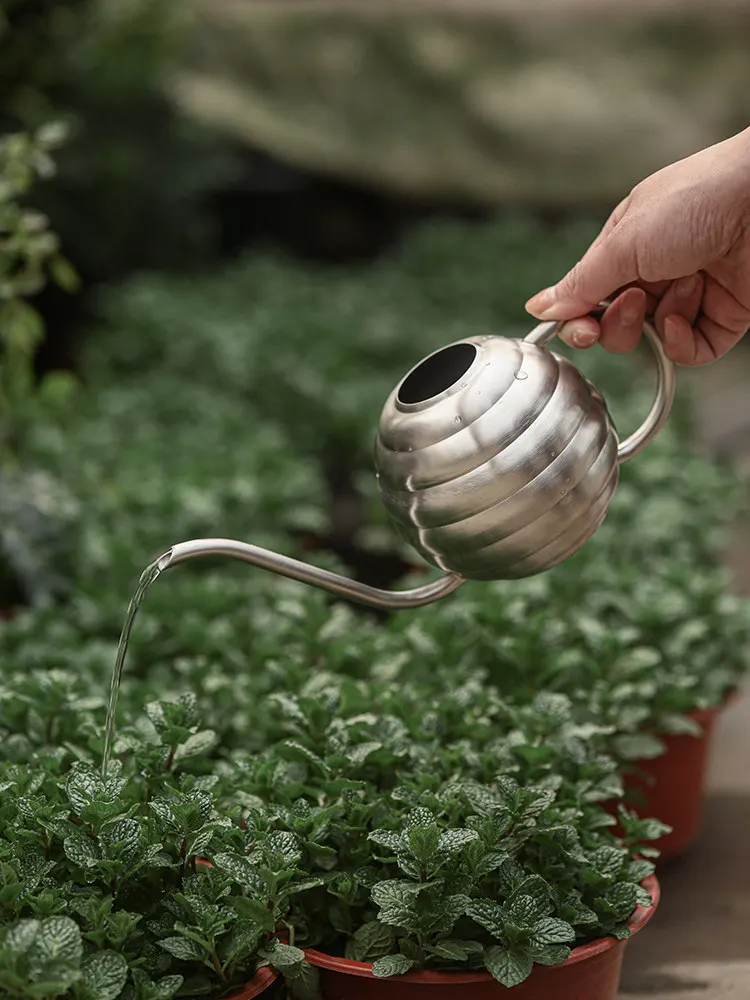 Stainless steel watering kettle/watering can high-value household succulent watering artifact